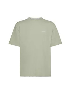 Spodní prádlo Pánská trička S/S CREW NECK 000NM2298ELL5 - Calvin Klein