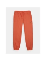 Pánské tepláky typu jogger model 21433039 - 4F