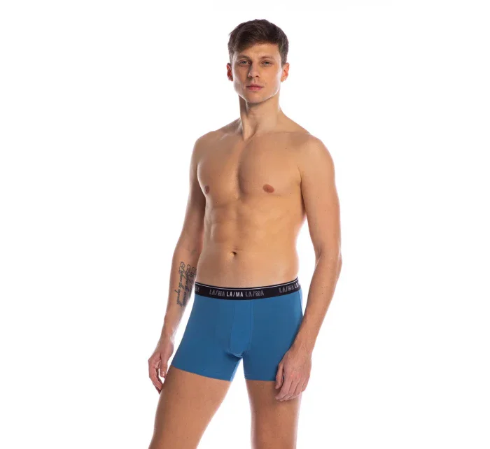 PÁNSKE ŠORTKY M-1021SZG 3PACK