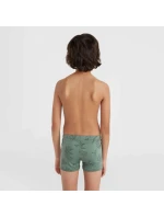 O'Neill Mix & Match Cali First Swim R Jr plavecké boxerky model 19926242 - ONeill O'Neill Mix & Match Cali First Swim R Jr plavecké boxerky model 19926242 - ONeill