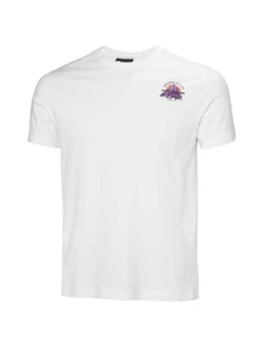 Helly Hansen Core Graphic T 2.0 M 54599 002 tričko