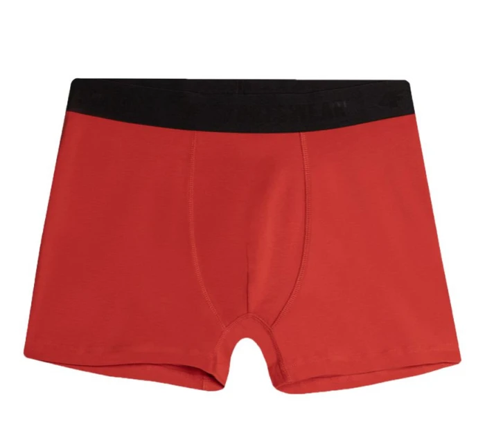 Boxerky 4F M027 1 M 4FAW23UBXSM027 91S Boxerky 4F M027 1 M 4FAW23UBXSM027 91S