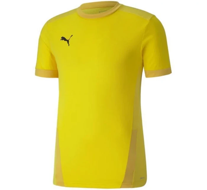 Puma teamGOAL 23 Jersey M 704171 07 pánsky dres