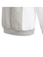 Adidas CB FT HD Jr Mikina IP0386