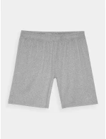 Pánské sportovní rychleschnoucí šortky 4F - šedé Pánské sportovní rychleschnoucí šortky 4F - šedé