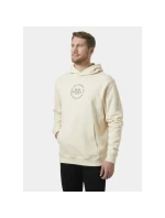 Helly Hansen Core Graphic Sweat Hoodie M 53924 034 Helly Hansen Core Graphic Sweat Hoodie M 53924 034