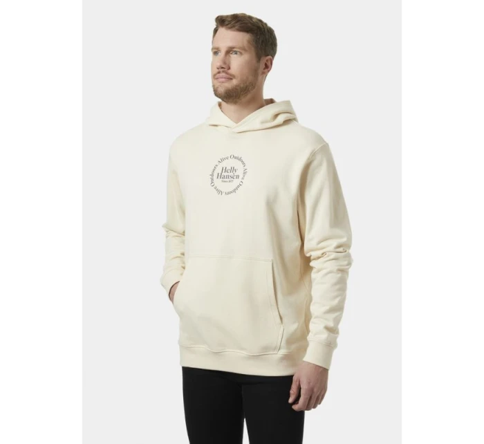 Helly Hansen Core Graphic Sweat Hoodie M 53924 034 Helly Hansen Core Graphic Sweat Hoodie M 53924 034