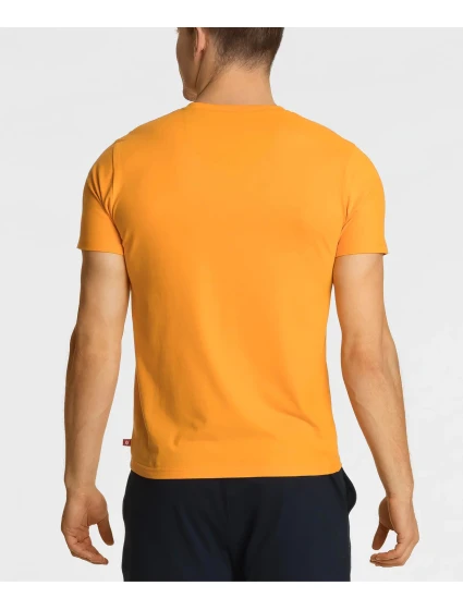 Pánske tričko s krátkym rukávom ATLANTIC - oranžové Pánske tričko s krátkym rukávom ATLANTIC - oranžové
