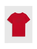 Chlapecké tričko s potiskem model 21736318 - 4F Chlapecké tričko s potiskem model 21736318 - 4F