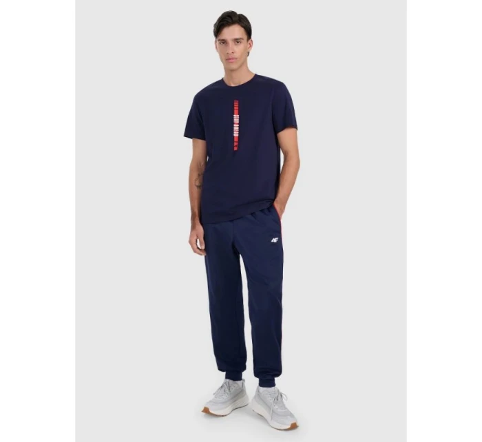 Pánske tričko s potlačou 4F 4FRAW25TTSHM3225-31S Pánske tričko s potlačou 4F 4FRAW25TTSHM3225-31S