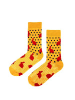 Pánske ponožky Regina Socks 7844 Avangarda Sliepky