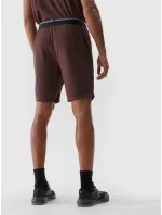 Pánske športové šortky 4F