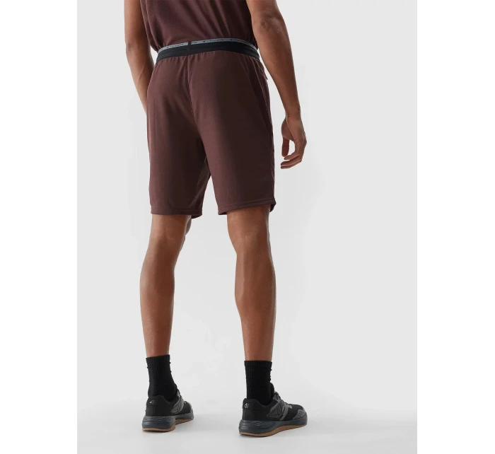 Pánske športové šortky 4F