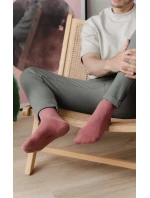 Pánské ponožky  Summer Edition model 18881885 - Steven