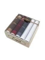 Pánské kapesníky model 20606609 A'5 - EGA