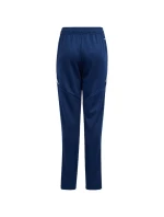 Kalhoty Tiro 24 Training Jr model 19484904 - ADIDAS