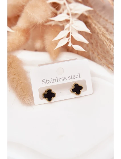 Náušnice ze nerezové oceli model 21772380 - Boto