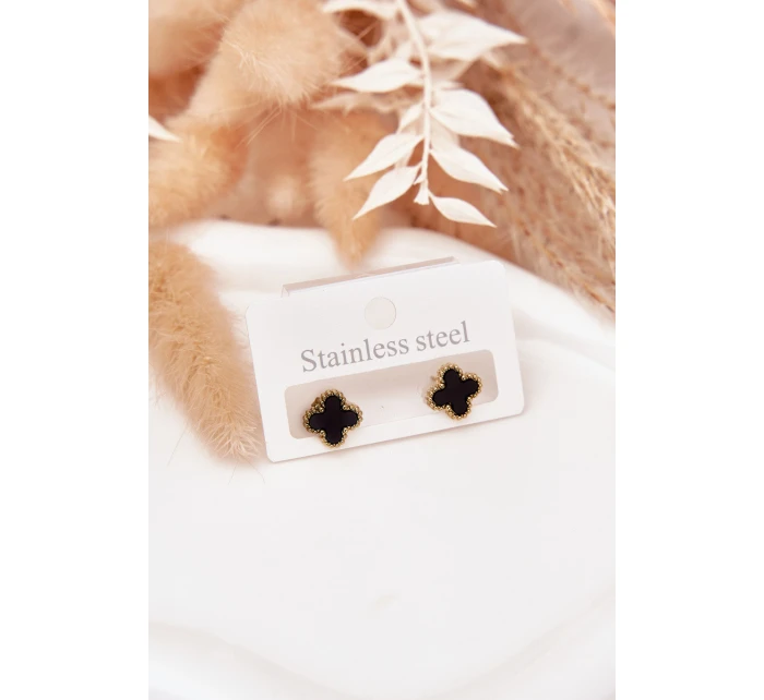 Náušnice ze nerezové oceli model 21772380 - Boto