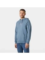 pánská mikina CORE HOODIE model 21427960 601 pánské - Helly Hansen