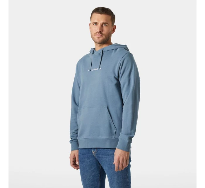 pánská mikina CORE HOODIE model 21427960 601 pánské - Helly Hansen