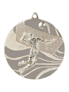 medal model 21829761