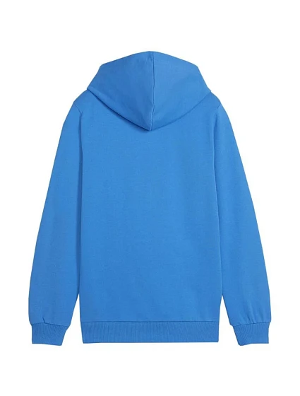 Mikina Team Goal Casuals Jr 02 model 19654409 - Puma