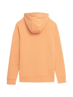 Pánská mikina M SS23TSWS  model 18353885 - 4F