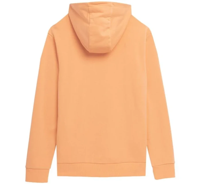 Pánská mikina M SS23TSWS  model 18353885 - 4F