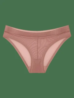 Tempting Sheer Highleg Tai     model 21379787 - Triumph