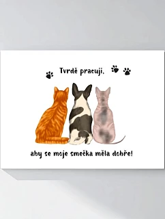 Personalizovaný magický fotobilder v ráme – 50 × 70 – ilustrácie domácich miláčikov