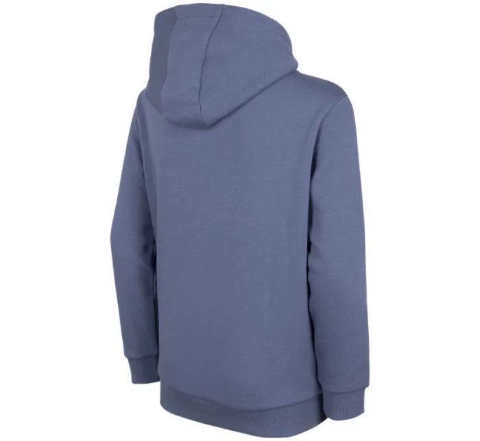 Mikina Jr HJZ22 model 17844378 32S - 4F