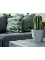 MATE BETON EFFECT POND 14CM ANTHRACITE detské