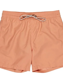 Šortky All Day   velikost L model 22380250 - Billabong