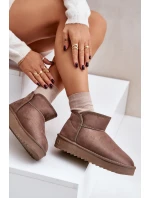 Dámské Sněhule Na Platformě model 21677079 Taupe - D.Franklin