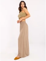 Spodnie TW SP BI model 20863090 brązowy - FPrice