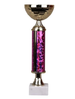 Triumph Cup model 21363640 - Tryumf