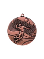 bronzová medaila - volejbal