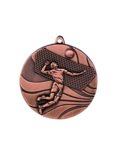 bronzová medaila - volejbal