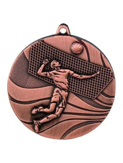 medal model 21829757