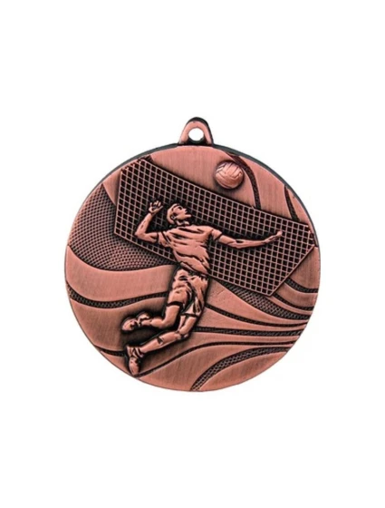 bronzová medaila - volejbal