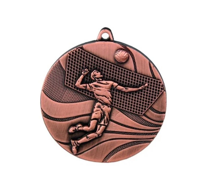 bronzová medaila - volejbal