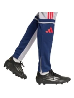 Kalhoty Squadra 25 Training M model 20877908 - ADIDAS Kalhoty Squadra 25 Training M model 20877908 - ADIDAS
