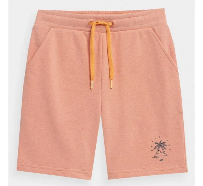Chlapčenské juniorské šortky 4FJSS23TSHOM047 64S - 4F Chlapčenské juniorské šortky 4FJSS23TSHOM047 64S - 4F