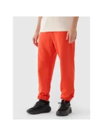 Pánské tepláky typu jogger model 21433039 - 4F