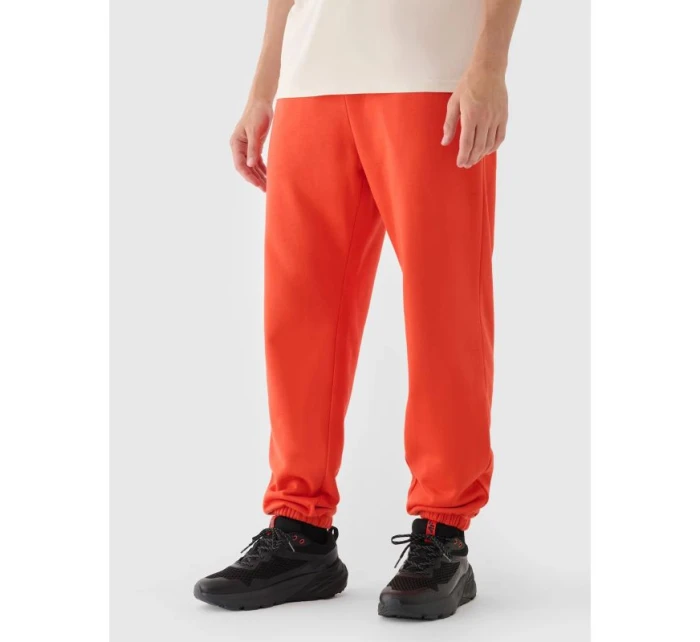 Pánské tepláky typu jogger model 21433039 - 4F