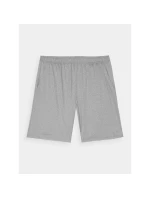 Pánské rychleschnoucí tréninkové šortky model 21432033 - 4F