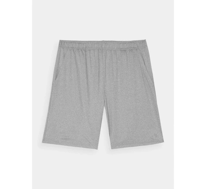 Pánské rychleschnoucí tréninkové šortky model 21432033 - 4F