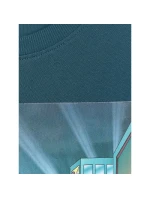 Chlapčenské tričko nadrozmernej veľkosti s potlačou 4F 4FJRAW25TTSHM3061-46S