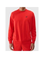 Pánská mikina  s kapucí bez model 21437408 - 4F