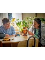 LEGO Star Wars 75430 Ewokovská bránka